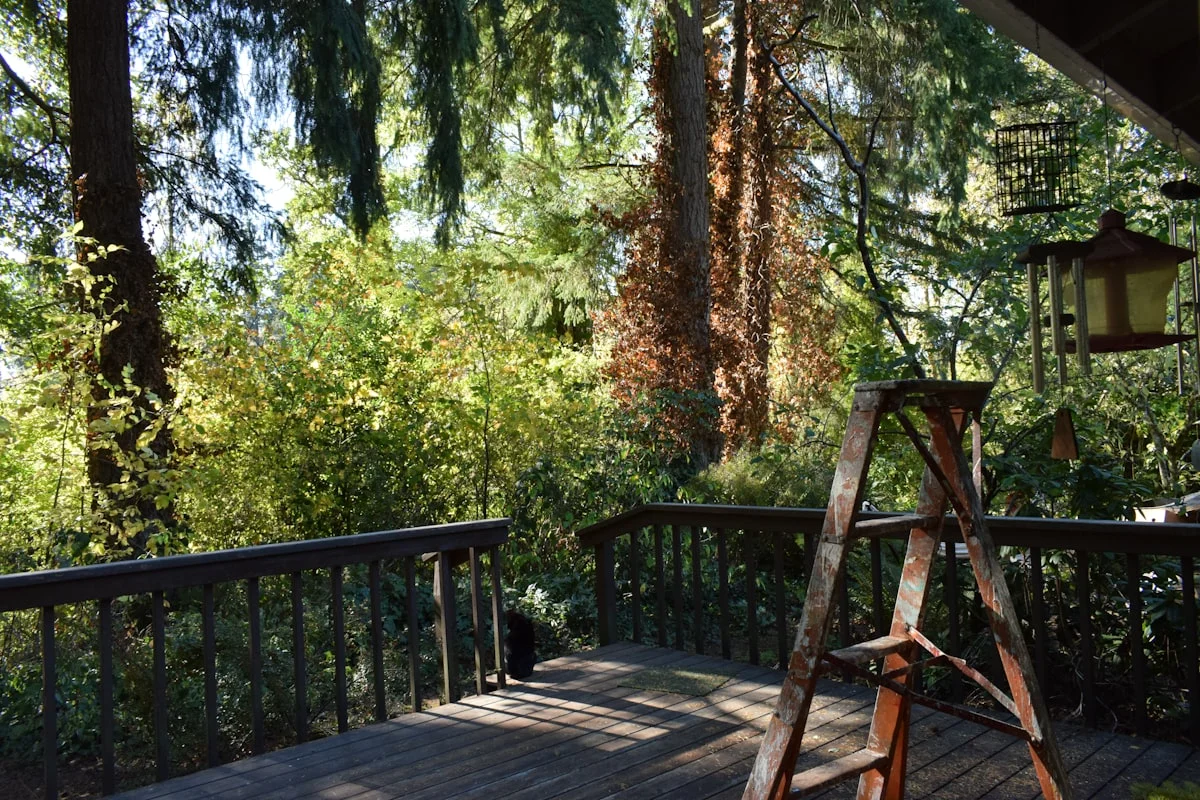 From First Call to Finished Deck: An Atlanta Timeline